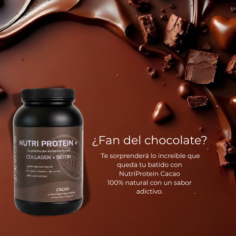Nutri Protein+ Cacao x2 + Shaker Térmico Acero 500ml